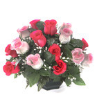 Coupe de roses bicolore artificielles D 36 H 27 cm